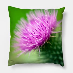 Thistle Pillow