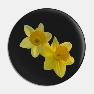 Daffodils in Bloom Pin