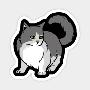 A cute cat looking Magnet