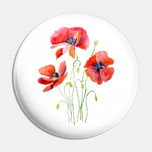 3 red and orange poppies watercolor Pin