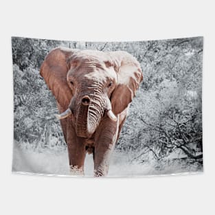 Elephant (Vintage) Tapestry