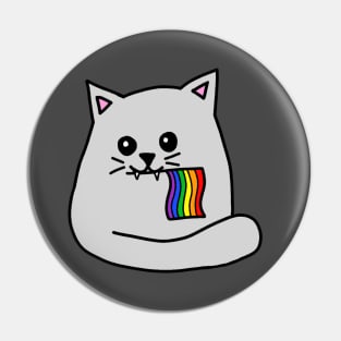 pride flag cat Pin