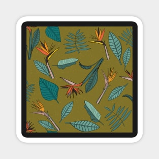 Bird of Paradise Flower Olive Magnet