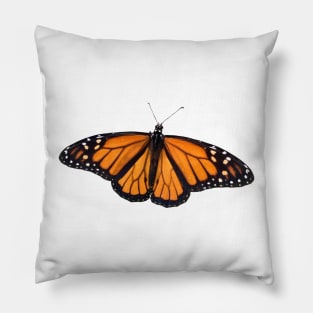 Monarch Butterfly on Orange Pillow