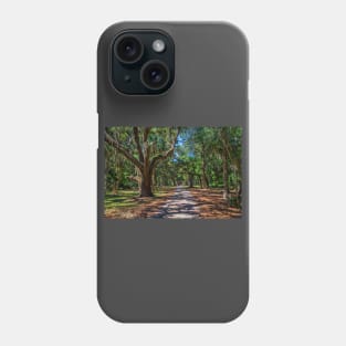 Cumberland Island National Seashore Phone Case