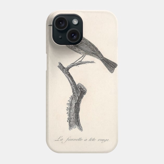 The Red-Headed Warbler Phone Case by ptMaker