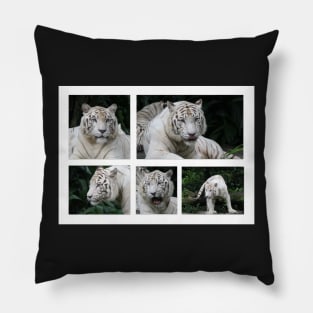 White Tiger Beauty Pillow