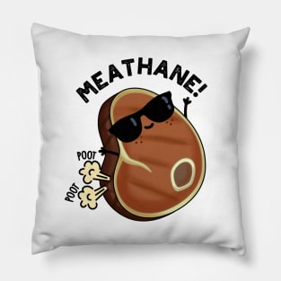 Methane Cute Farting Meat Pun Pillow