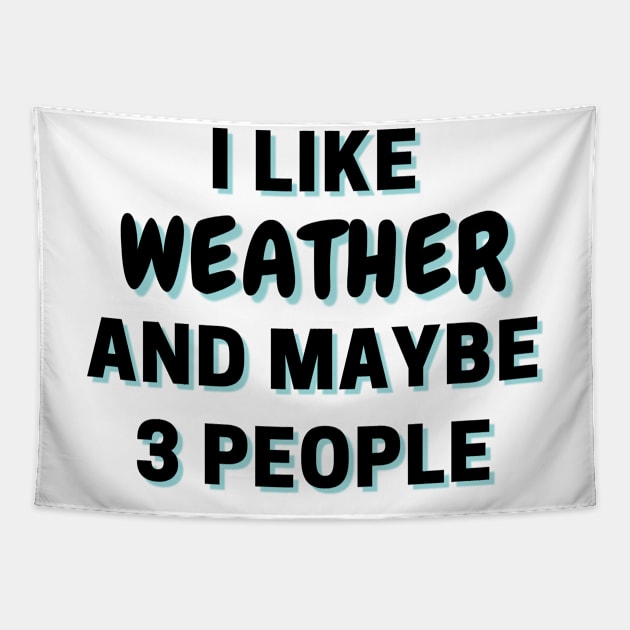 I Like Weather And Maybe 3 People Tapestry by Word Minimalism