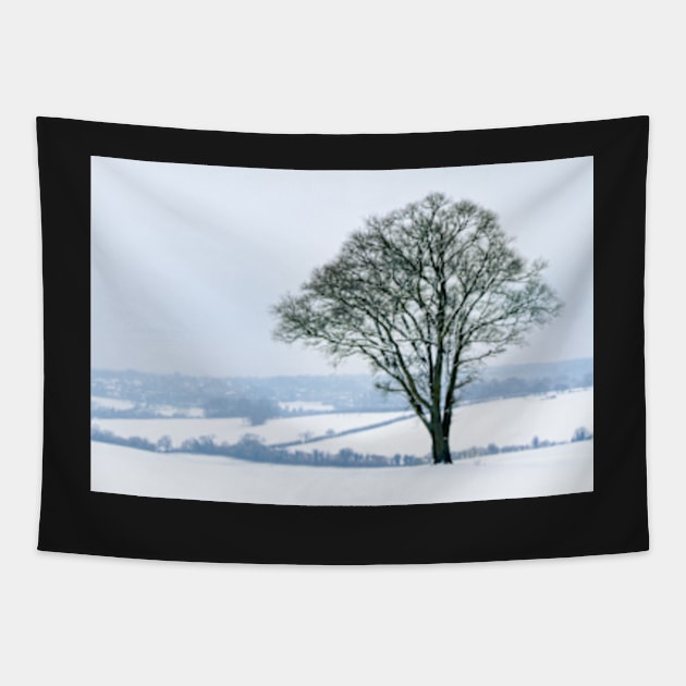 Ash Tree in the Snow Tapestry by heidiannemorris