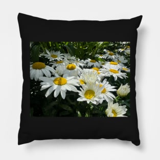 The Daisy Field of All Possibility Pillow