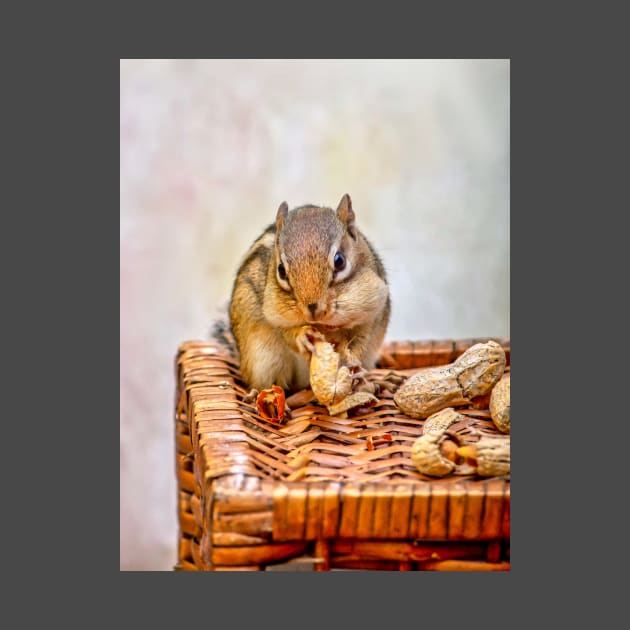 Sweet chipmunk shares a peanut by iyd39