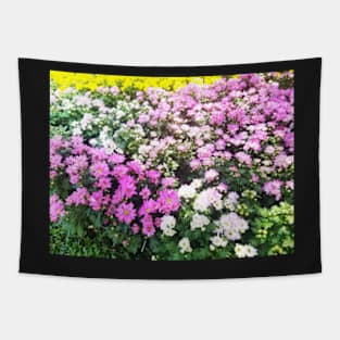 Daisy Garden Tapestry