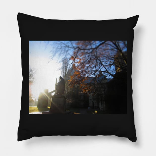 Alfred, Lord Tennyson Pillow by RachelT72