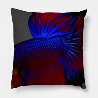 Betta Fish Pillow