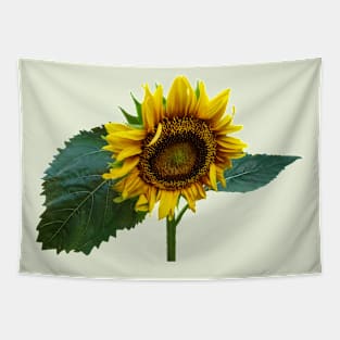 Sunflower Glancing Down Tapestry