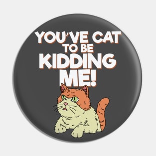 You've Cat to be Kidding Me Pin