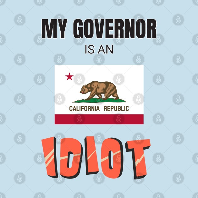 Disover California - My governor is an idiot - My Governor Is An Idiot - T-Shirt