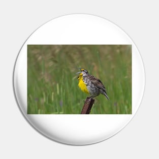 An Eastern Song - Eastern Meadowlark Pin