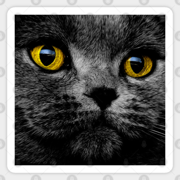 Painting Grey Kitten Yellow Eyes Grey Cat With Yellow Eyes Sticker Teepublic
