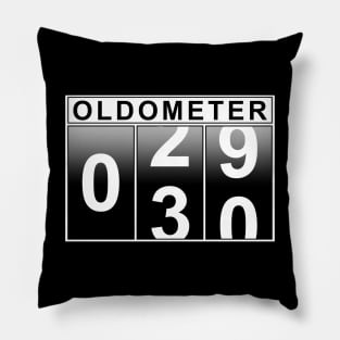 30th Birthday Oldometer Pillow