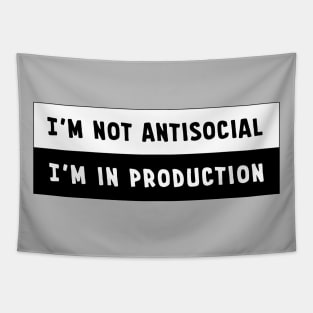 I'm Not Antisocial. I'm in Production. Tapestry