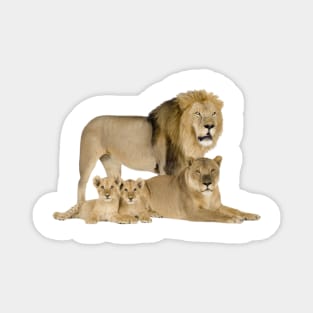 The Lion Family Magnet