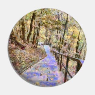 A path through the autumn forest Pin