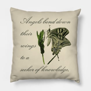 Angels Bend Down Their Wings To A Seeker Of Knowledge Pillow
