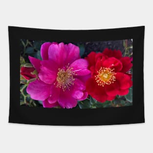 Vibrant Rose Couple Tapestry