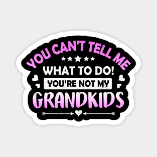 You Can't Tell Me What To Do You're Not My Grandkids Magnet