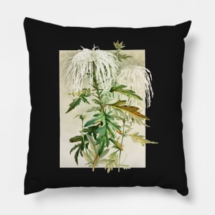 Medusa Chrysanthemum - Lunzer Pillow