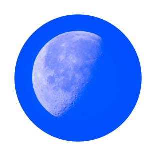 Afternoon Moon Photograph Circle T-Shirt