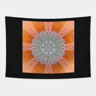 Kaleidoscope of colors Tapestry