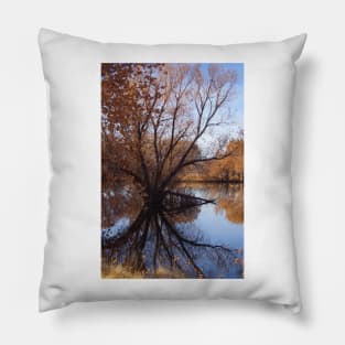 Looking Glass Pillow