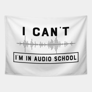 Audio School Student - I can't I'm in audio school Tapestry