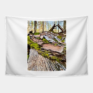 Fairy Land of Moss and Bark Tapestry