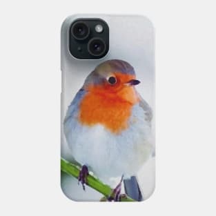 European Robin Digital Oil Painting Phone Case