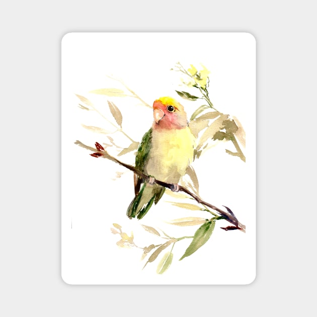Lovebird Magnet by surenart