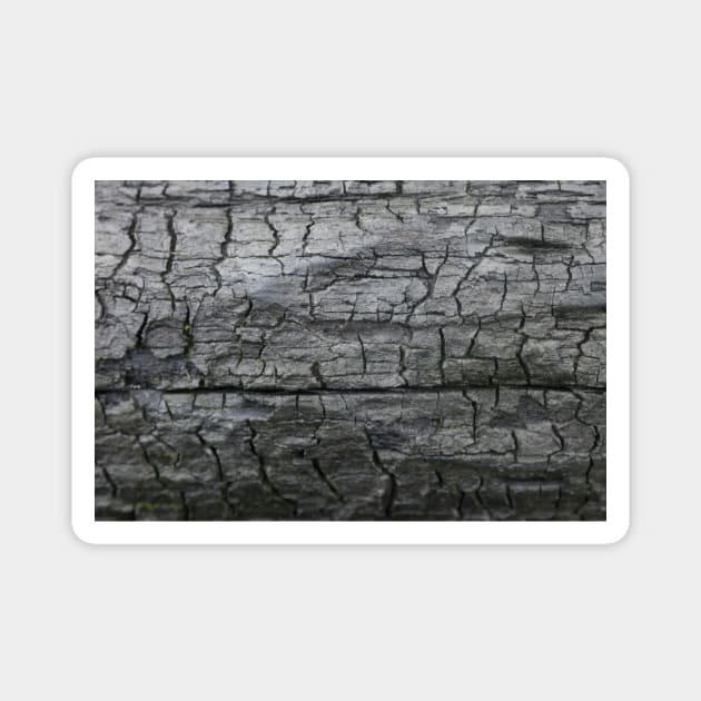 Charred wood texture Magnet by textural