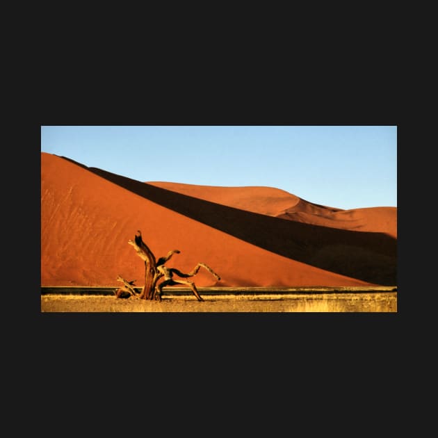 Dunes, Dead Tree & Dry Tsauchab River Valley, Namibia by Carole-Anne