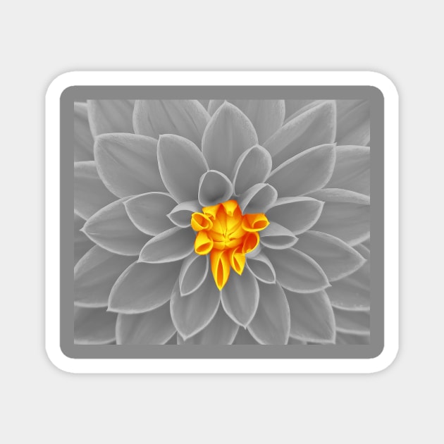 Inner Beauty Floral Pattern Magnet by Calmavibes