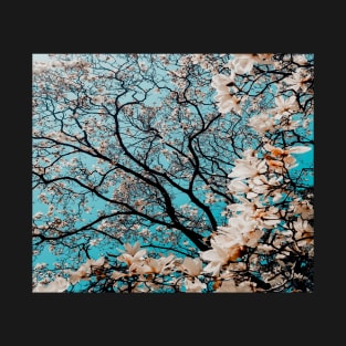 Sakura Tree in Blossom T-Shirt