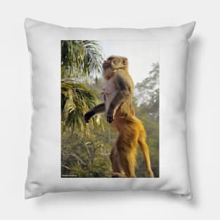 Amazing Monkey Stand Up for your rights Pillow