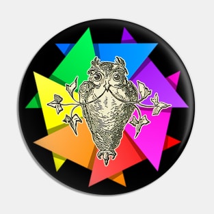 owl in rainbow Pin