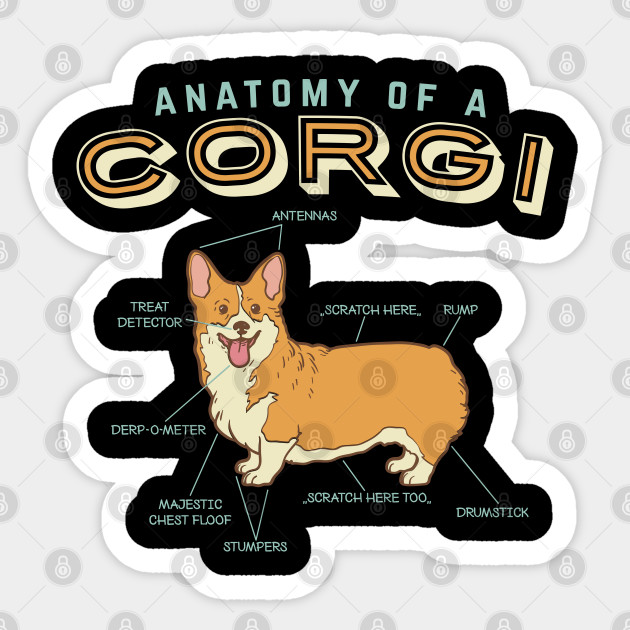 funny corgi shirts