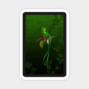 Exotic Quetzal Bird on Green Floral Magnet