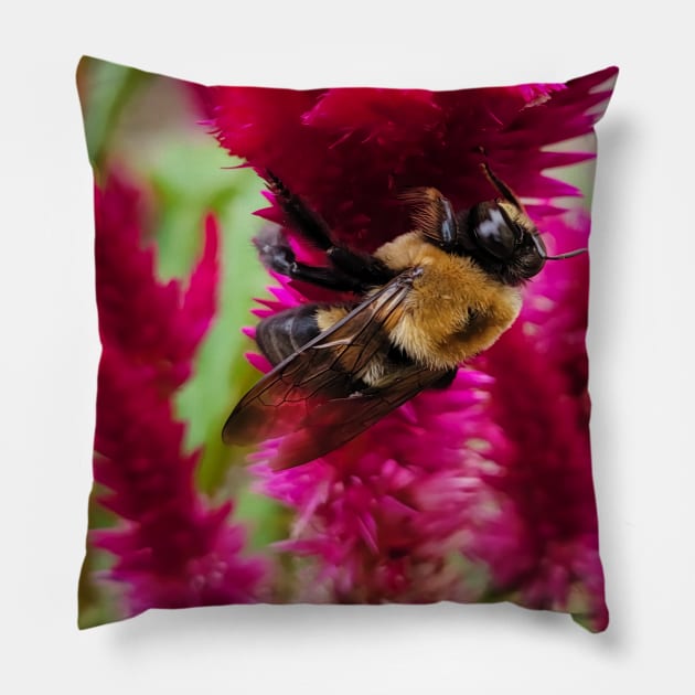 The Humble Bumble Bee Pillow by SeththeWelsh