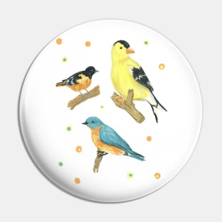 Song Bird Trio (Goldfinch, Oriole and Bluebird) Pin