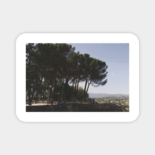 Arezzo, Tuscany, Italy Magnet by newbeltane